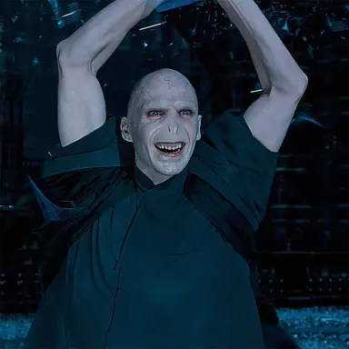 Profile image of Lord Voldemort