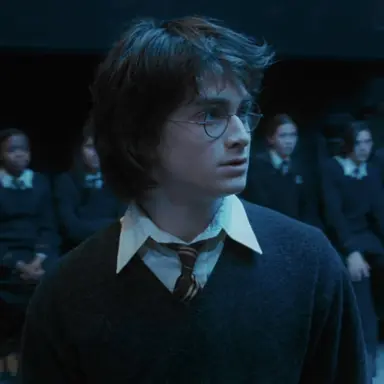 Profile image of Harry Potter