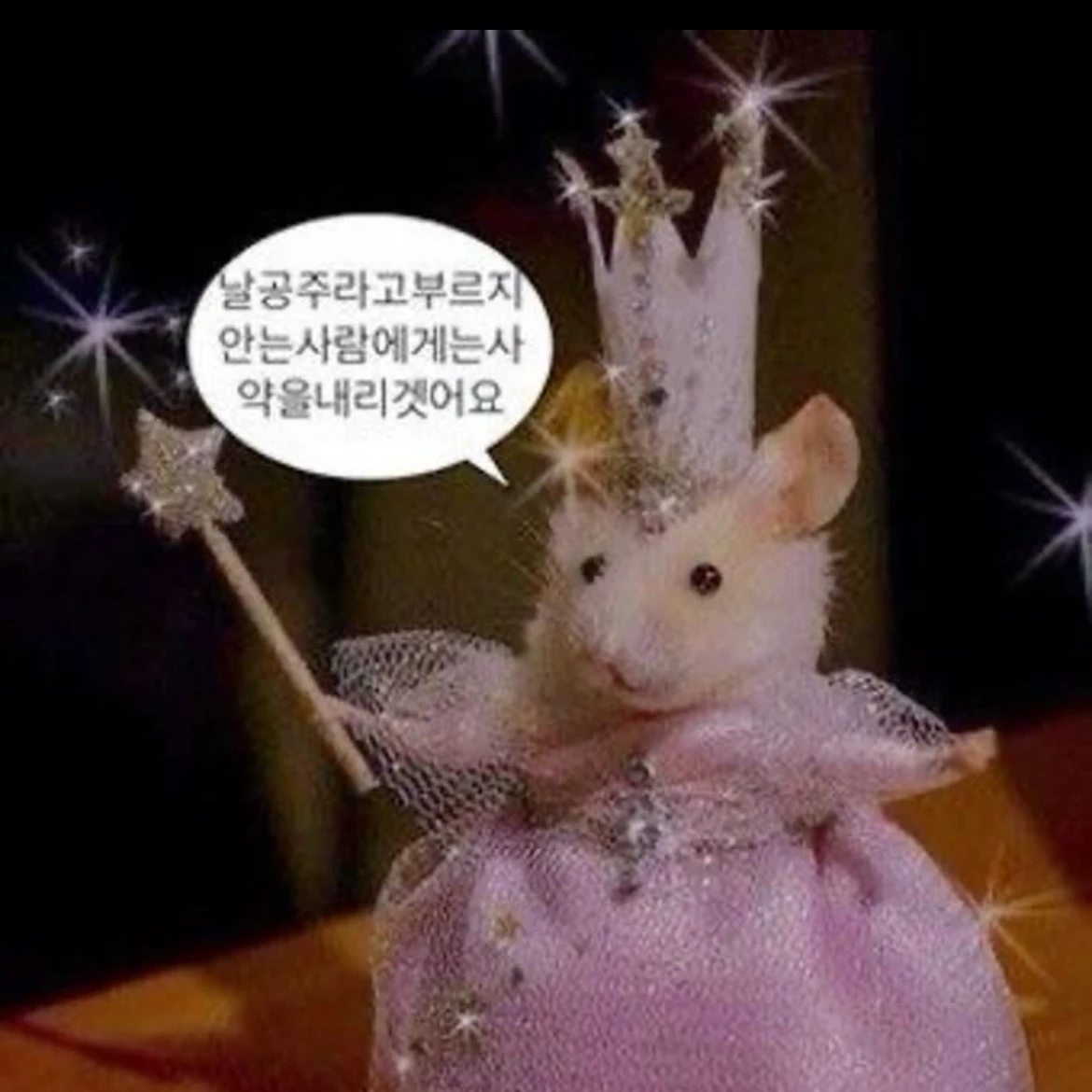 공주콩