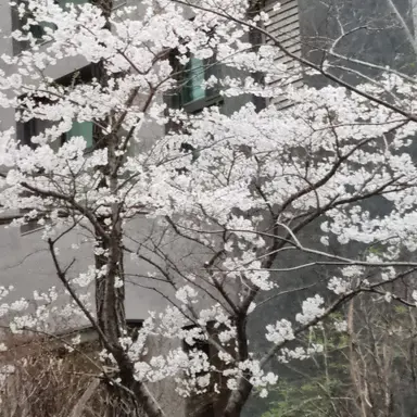 Profile image of 미수반2