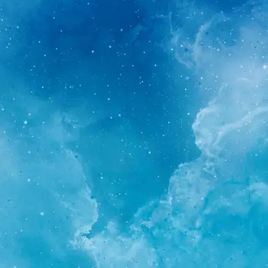 Profile image of 쵸키
