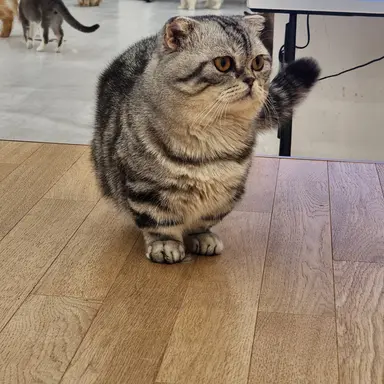 Profile image of 미친넘즈