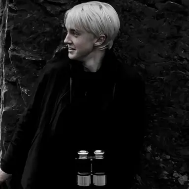 Profile image of Draco L Malfoy