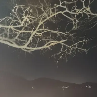 Profile image of 공유빈