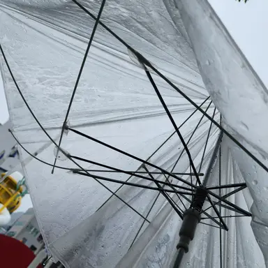 Profile image of 이지우