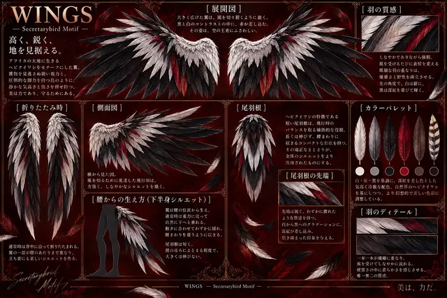 Profile image of セイン