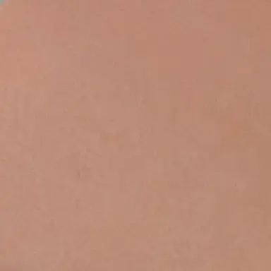 Profile image of 大西流星