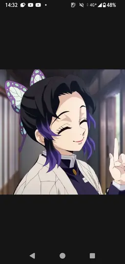 Profile image of 胡蝶しのぶ