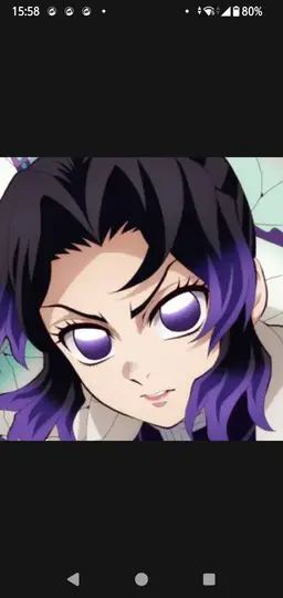 Profile image of 胡蝶しのぶ