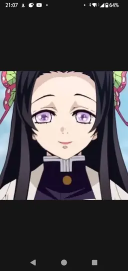 Profile image of 胡蝶カナエ