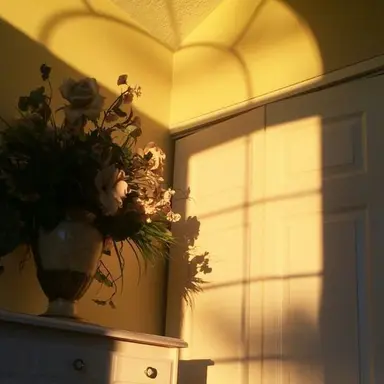 Profile image of 김각별