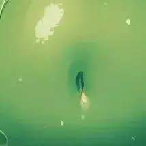 LeafyJuice1440의 Gelia Inflation