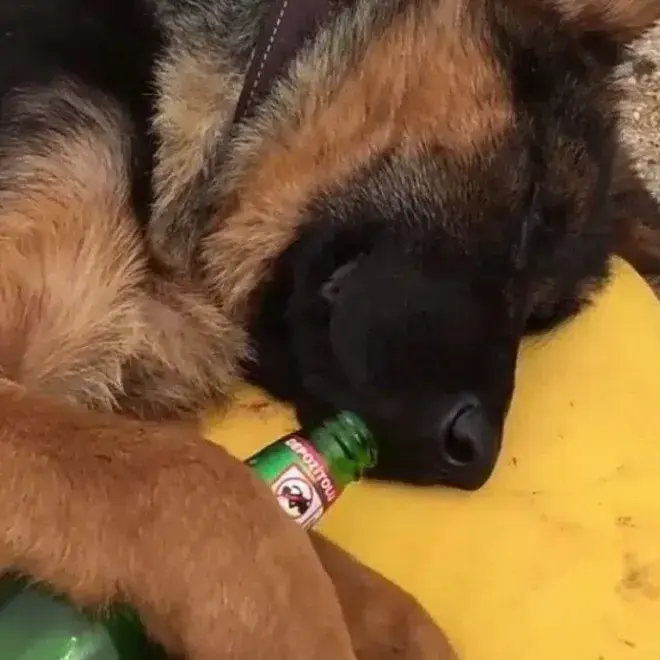 TinyPain3551의 TF141 - Hybrid Operative