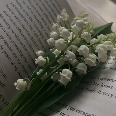 Profile image of 밥풀