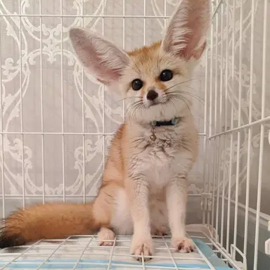 Profile image of 망고