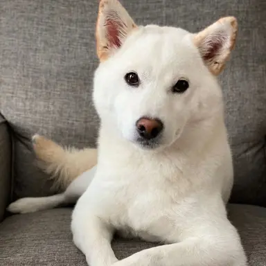 Profile image of 몽투