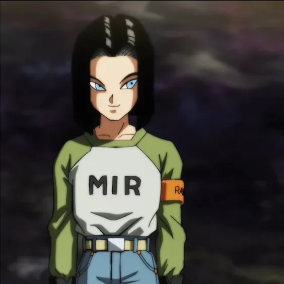 17호
