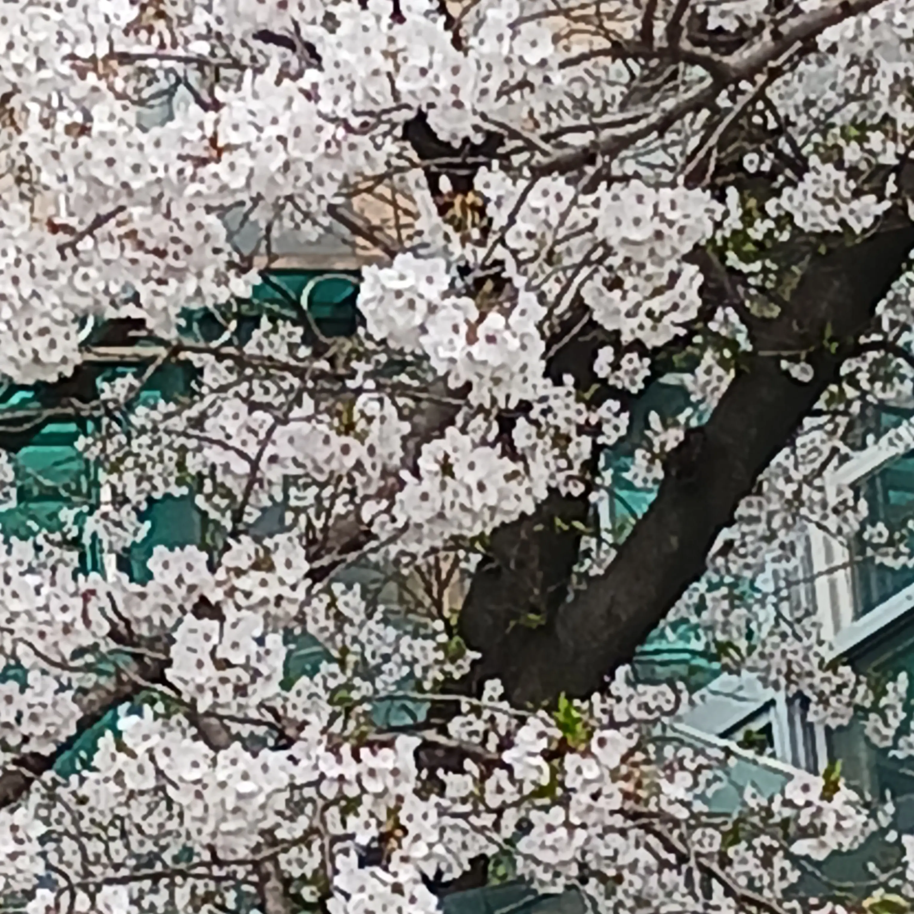 BriskNoise9760의 미스터리수사반