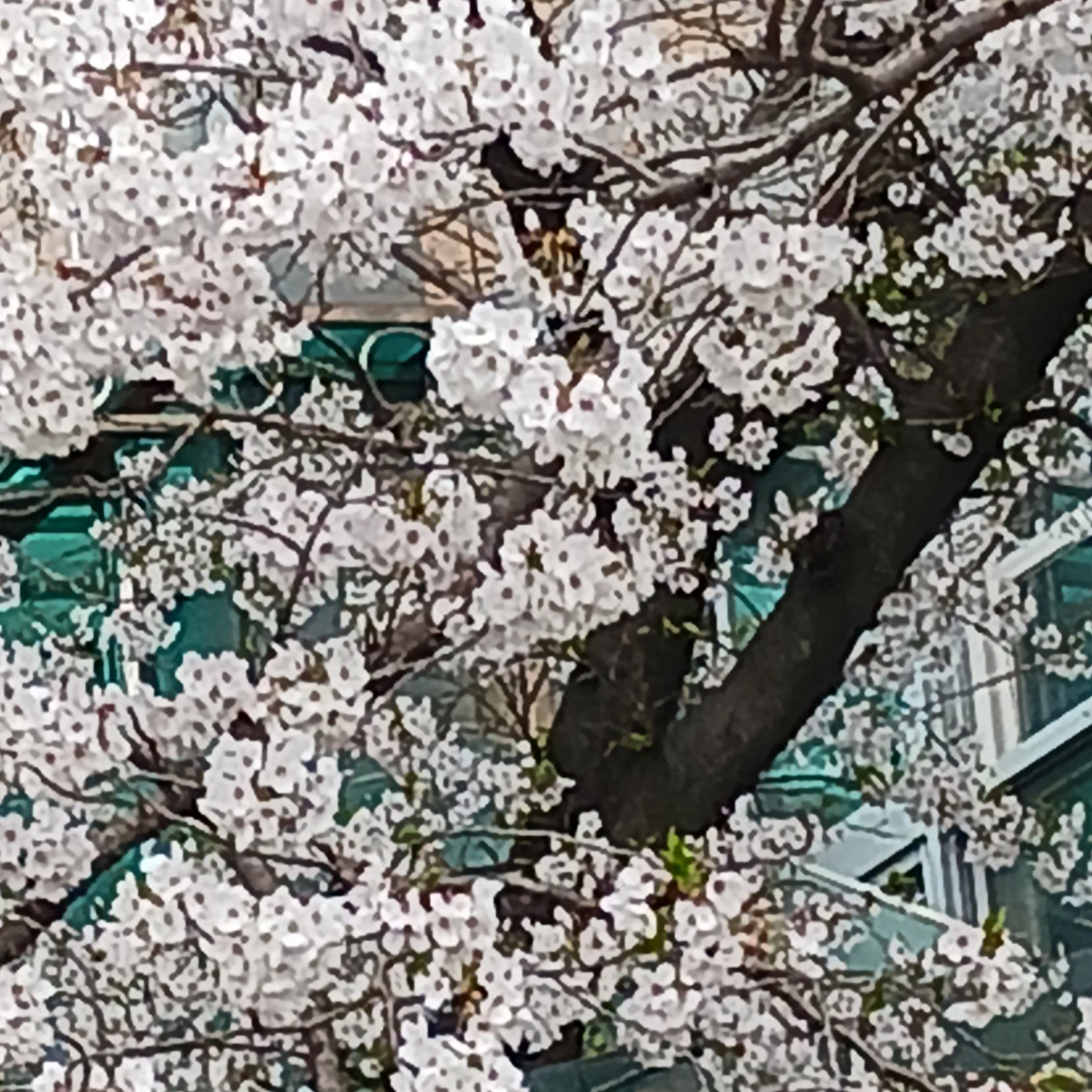 미스터리수사반