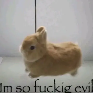 Profile image of Usagi