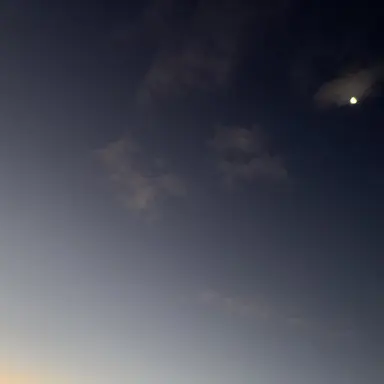 Profile image of キンプリ