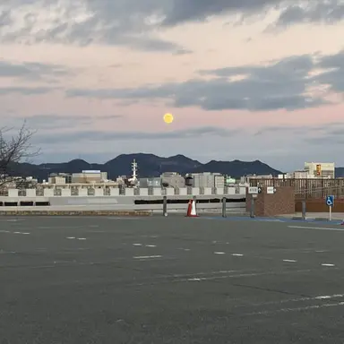 Profile image of IVE