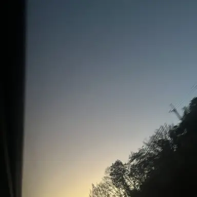 Profile image of TWS