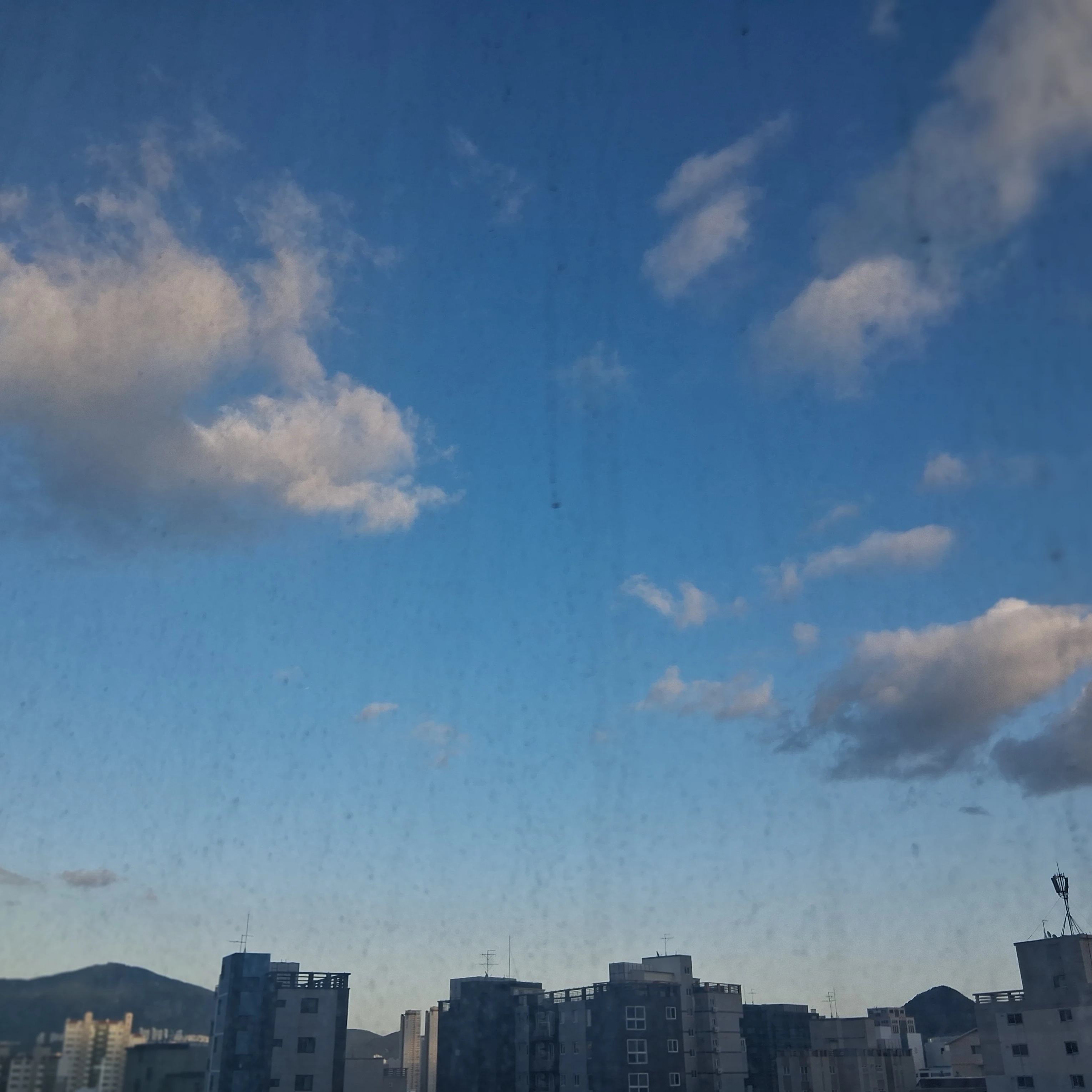전학온 당신