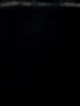 Stayskzz의 양정인