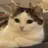 레오