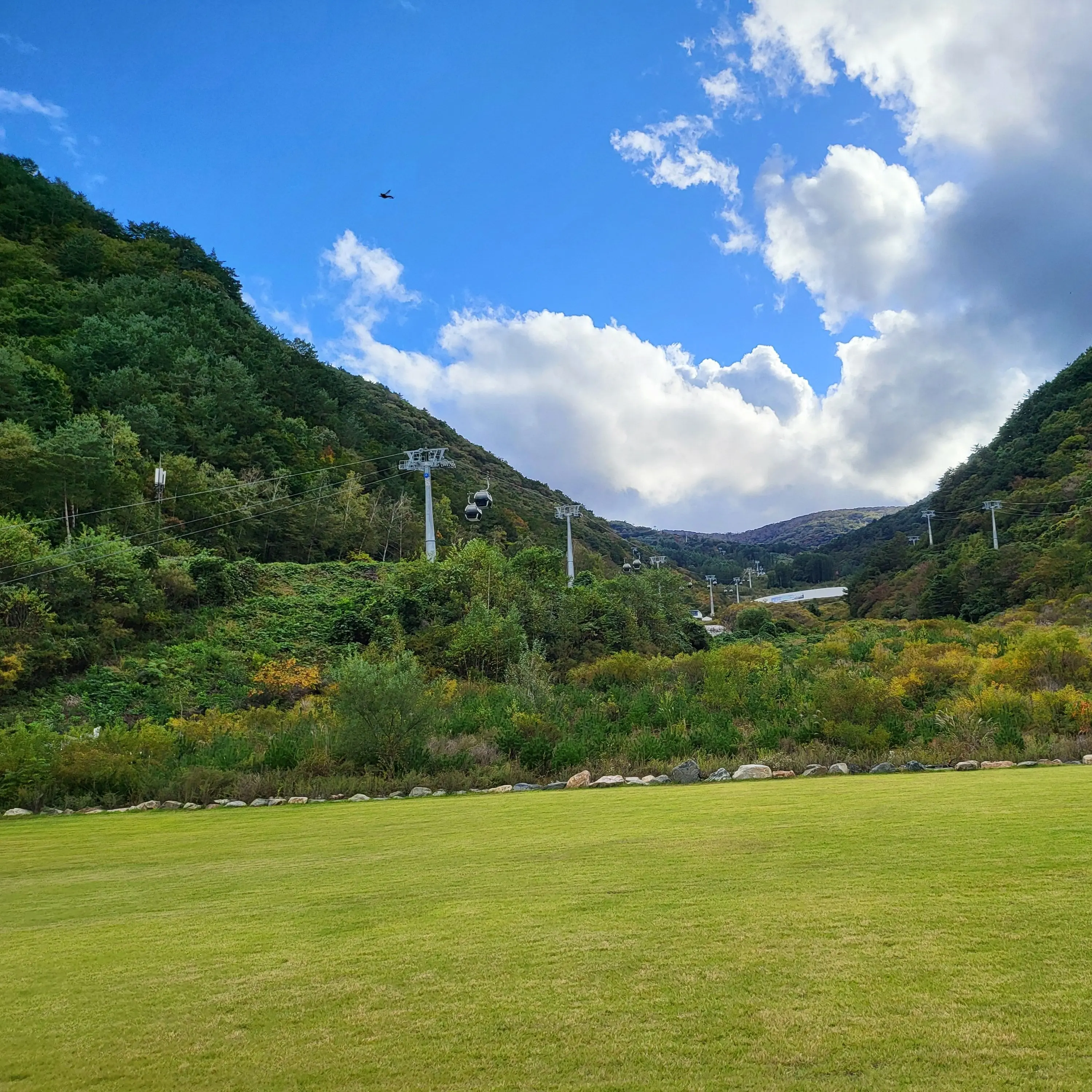 FunnyBonus1816의 세봉중