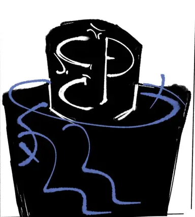 Profile image of P