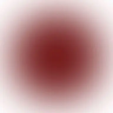 Profile image of 舜太
