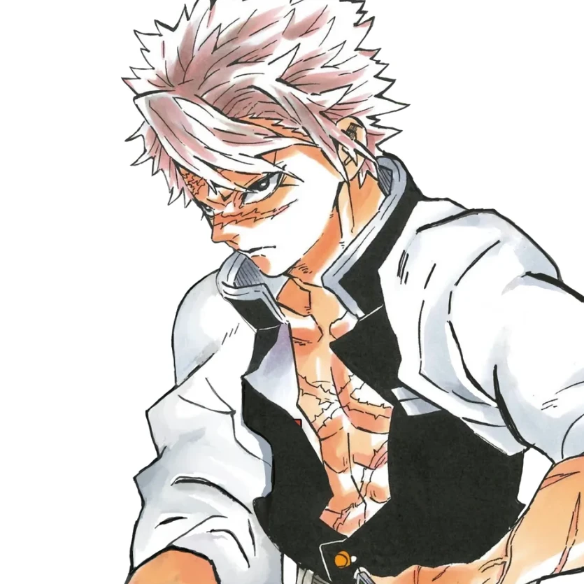 시나즈가와 사네미