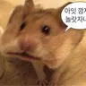 Profile image of 국어쌤