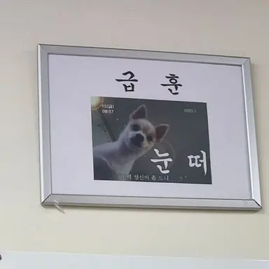 Profile image of 이신