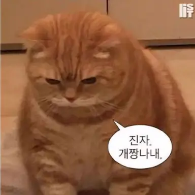 Profile image of 반지음
