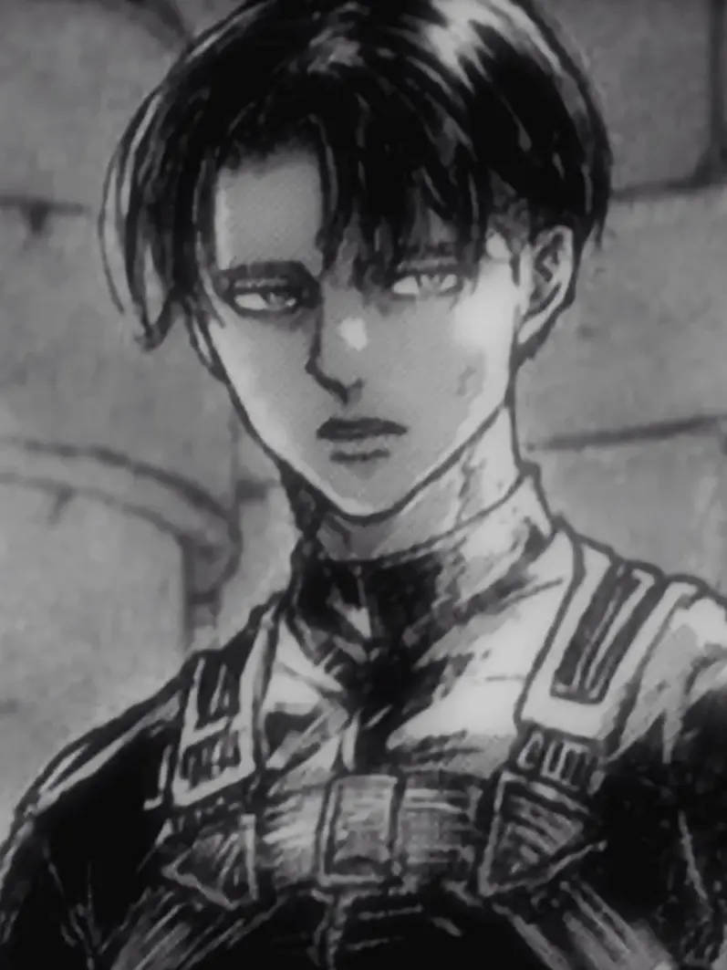 TartTulip0977의 리바이 아커만