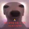 Profile image of 박진영도못말리는맛잘