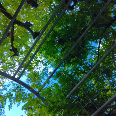 Profile image of 秘書君