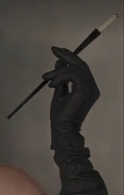 Profile image of THE HANDLER