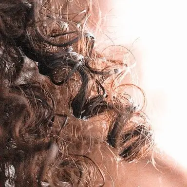Profile image of ALLISON HARGREEVES
