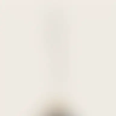Profile image of 角名