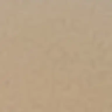 Profile image of 루이쨘