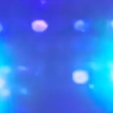 Profile image of 연이