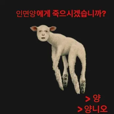 Profile image of 명령