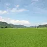 Profile image of 野上広呂
