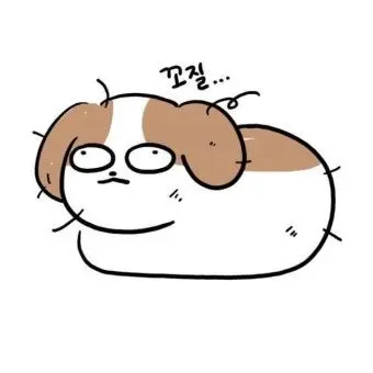 Profile image of 바보개