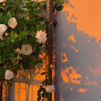 Profile image of 박덕개