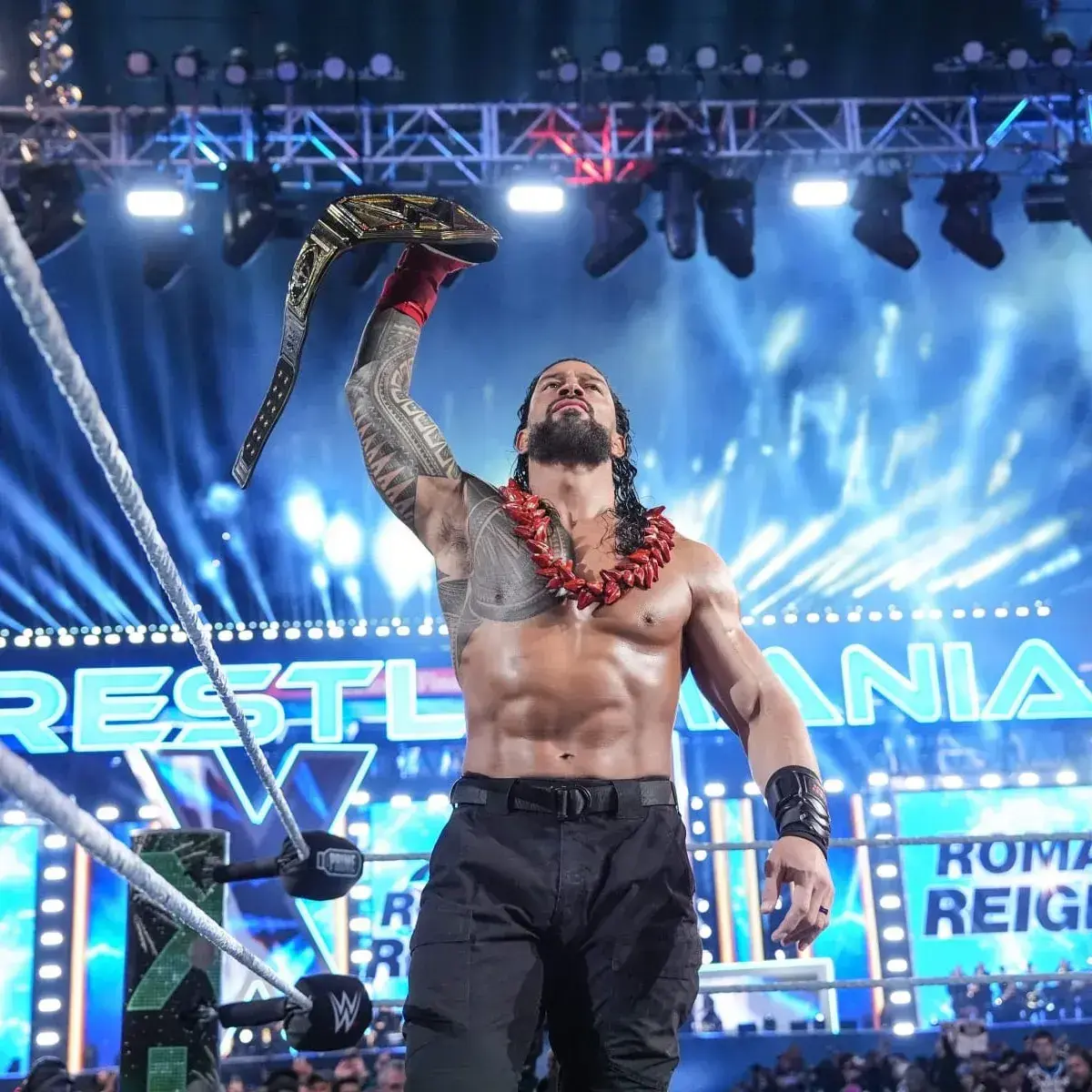 NeatOptic9061의 Roman reigns
